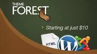 Themeforest WordPress Themes