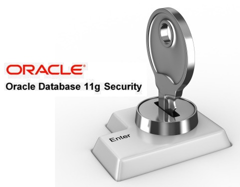 Oracle 11g Security