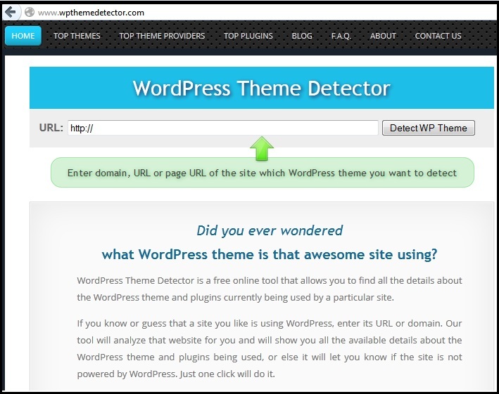 WordPress Theme Detector Free online tool